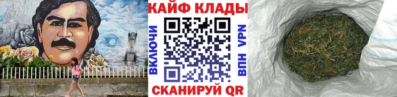 Какие есть наркотики Дорогобуж KRAKEN tor Метадон Вейп ТГК ГАШ Cocaine Меф Псилоцибиновые грибы